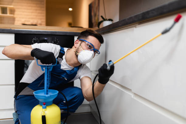 Best Termite Control Services  in Franklinton, LA