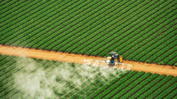 Best Pest Control Treatment  in Franklinton, LA