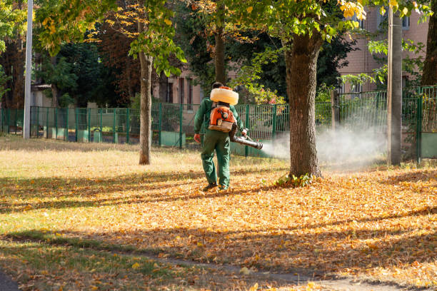 Best Emergency Pest Control  in Franklinton, LA