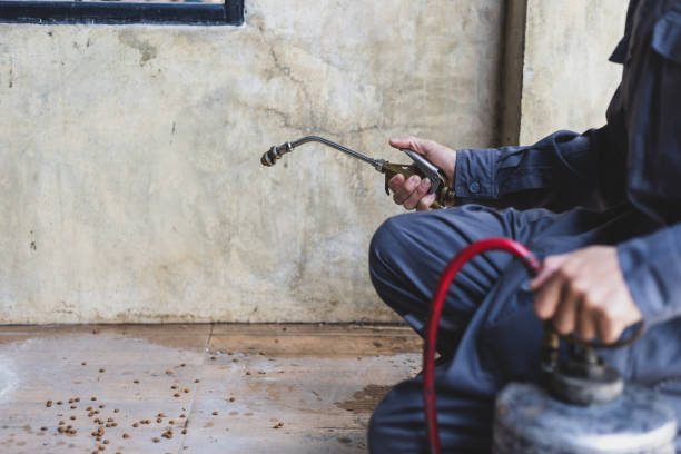 Best Pest Control Near Me  in Franklinton, LA